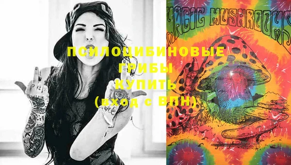 марки lsd Новозыбков