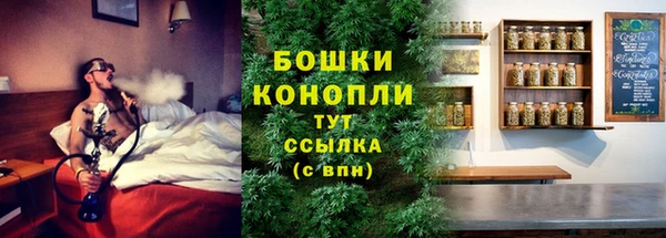 марки lsd Новозыбков