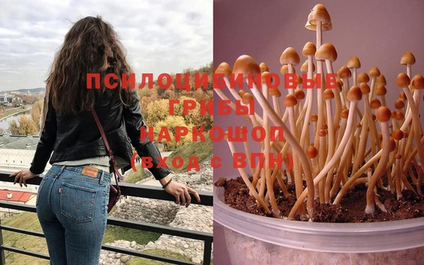 марки lsd Новозыбков