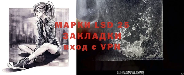 марки lsd Новозыбков