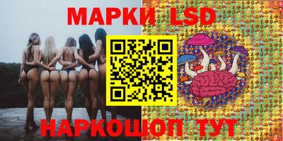 гидропоника Берёзовский