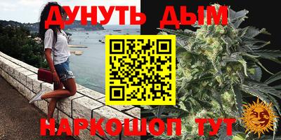 прущие грибы Бийск