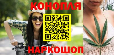 прущие грибы Бийск