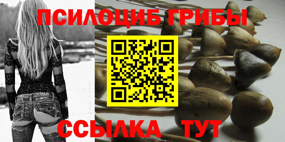 Псилоцибиновые грибы прущие грибы Богородск