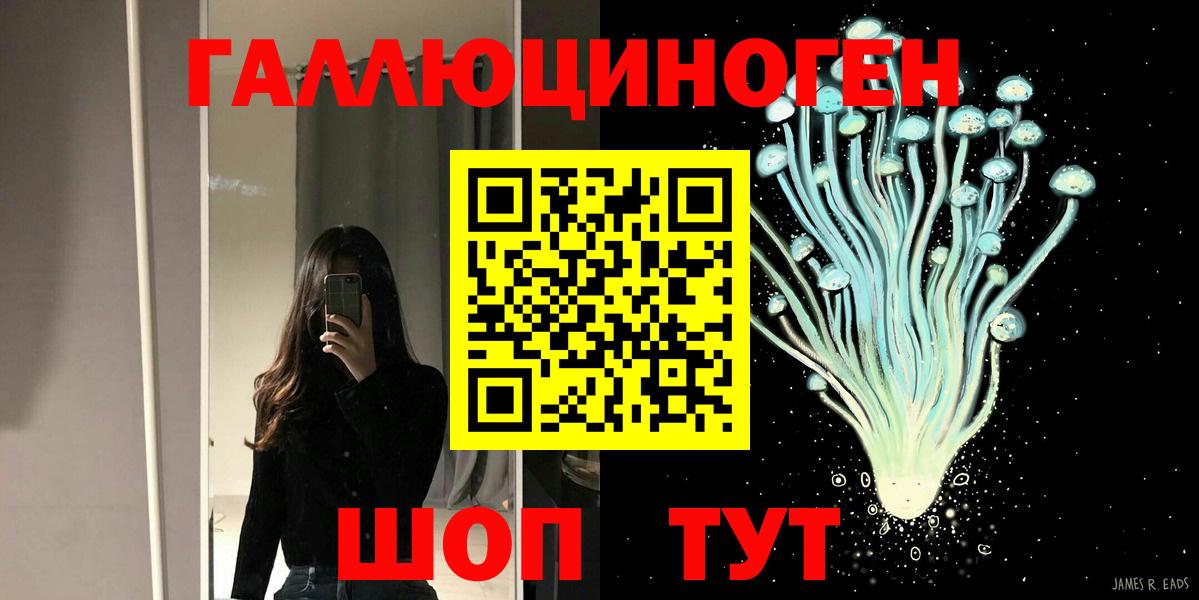 Псилоцибиновые грибы Psilocybe  Богородск 