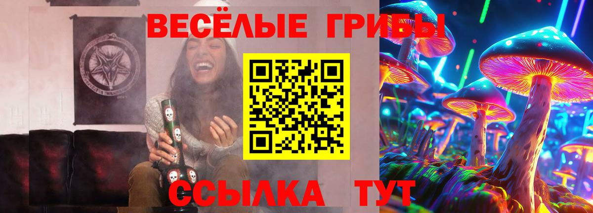 Псилоцибиновые грибы ЛСД  Вход с VPN  купить наркотики цена  Богородск 